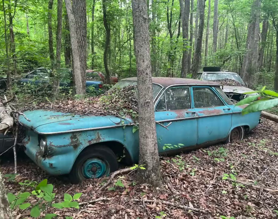 Some of the cars could still make a mint at auction