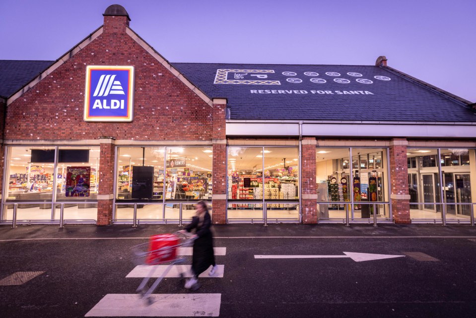 Aldi shoppers are rushing to buy ‘lush’ Christmas lights slashed by 90%