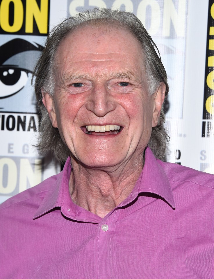 Brit David Bradley voices Fowler in the sequel