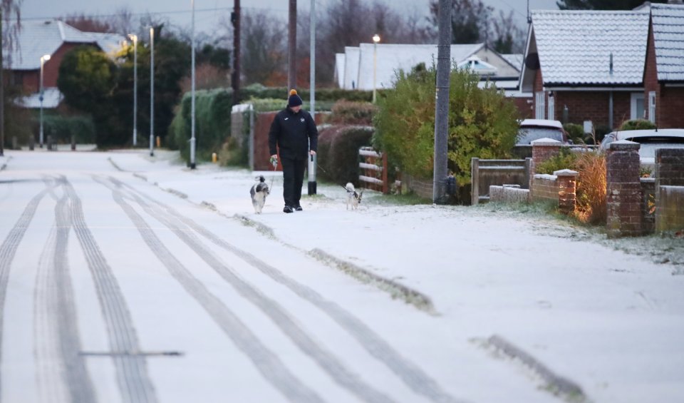 Dog walkers bracing the snow in Suffolk this morning