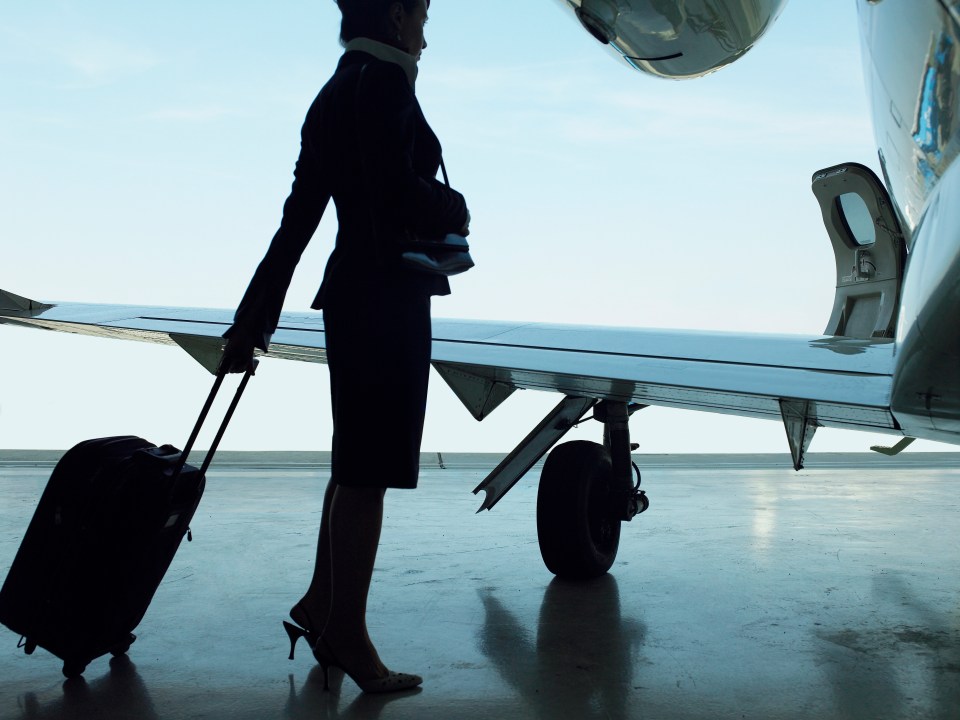 Flight attendants have raved about the suitcase