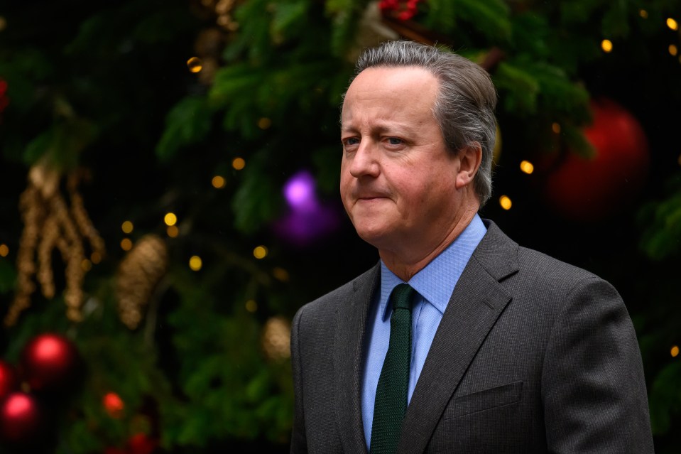 David Cameron must shake world leaders from their complacency