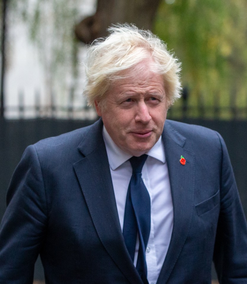 Mr Johnson pictured arrives at Downing Street ahead of Remembrance Sunday last month