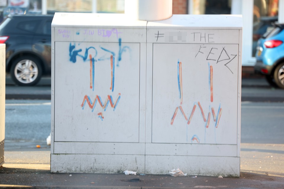 A phone mast is graffitied with the words ‘F*** the Fedz’