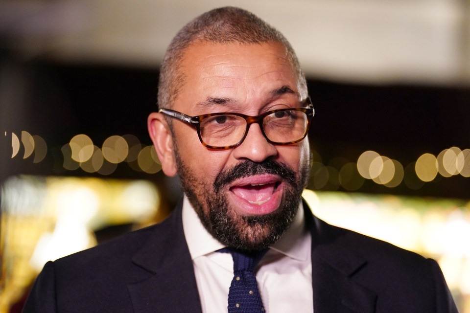 James Cleverly said: 'If you’re coming here illegally, you will not have the right to stay here, you will be sent home'