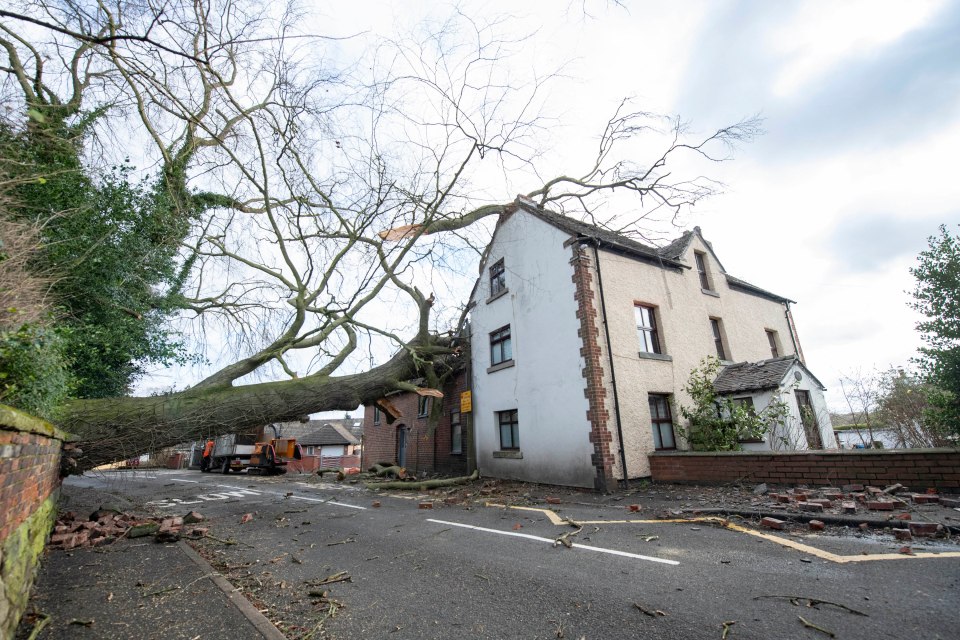 A tree crashed into a house in the Derbyshire village of Stanley