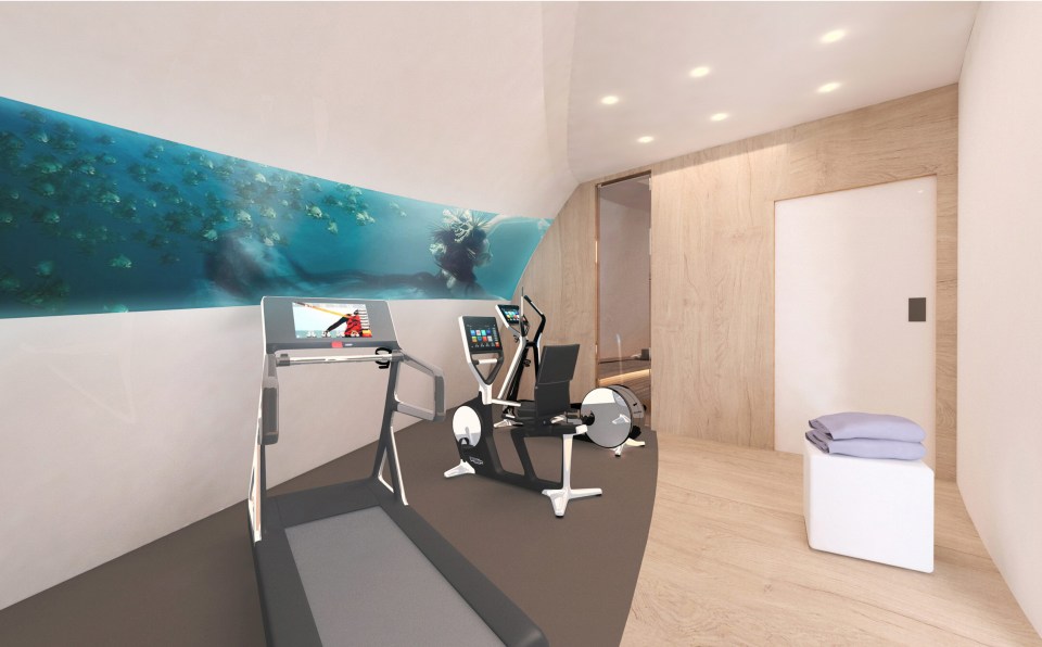 A VIP suite includes an attached gym and spa room