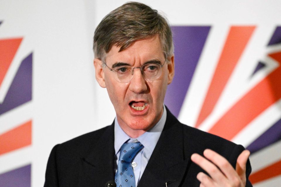 Jacob Rees-Mogg has rallied against work from home policies in Whitehall