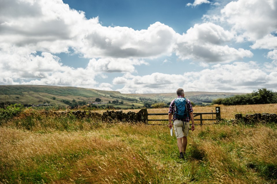 Strolls and hikes lower the risk of heart disease