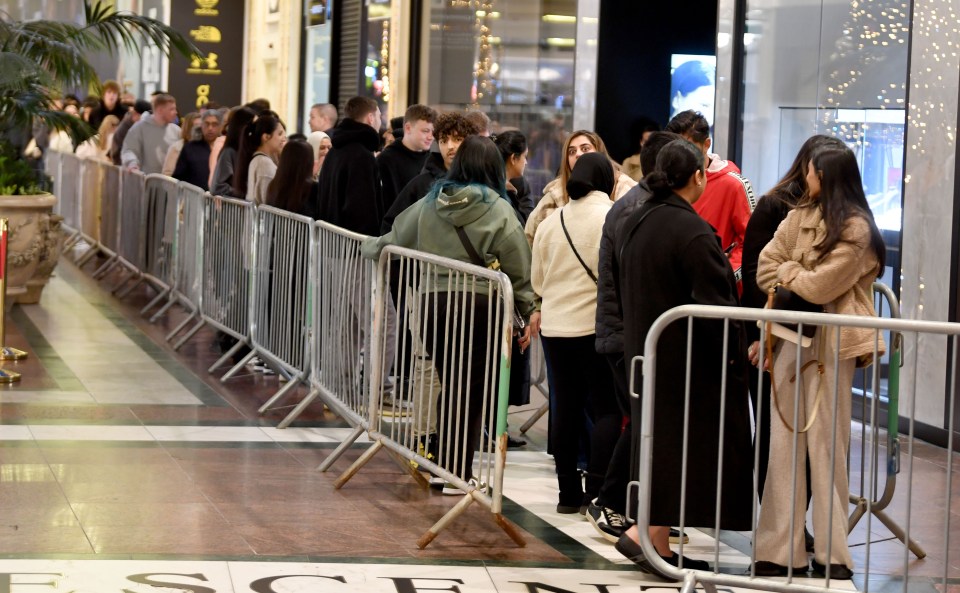 Long queues snaked through the mall as a hundreds wait to snap up bargains