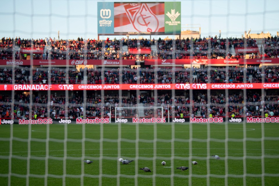 A fan sadly died during the match between Granada and Athletic Bilbao