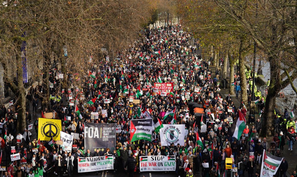 Protesters on the Embankment during a pro-Palestine march