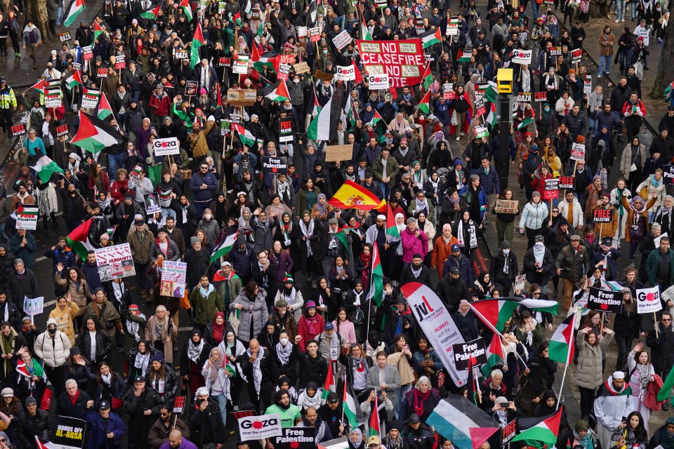 Demonstrators are calling for a ceasefire in the Israel-Hamas war