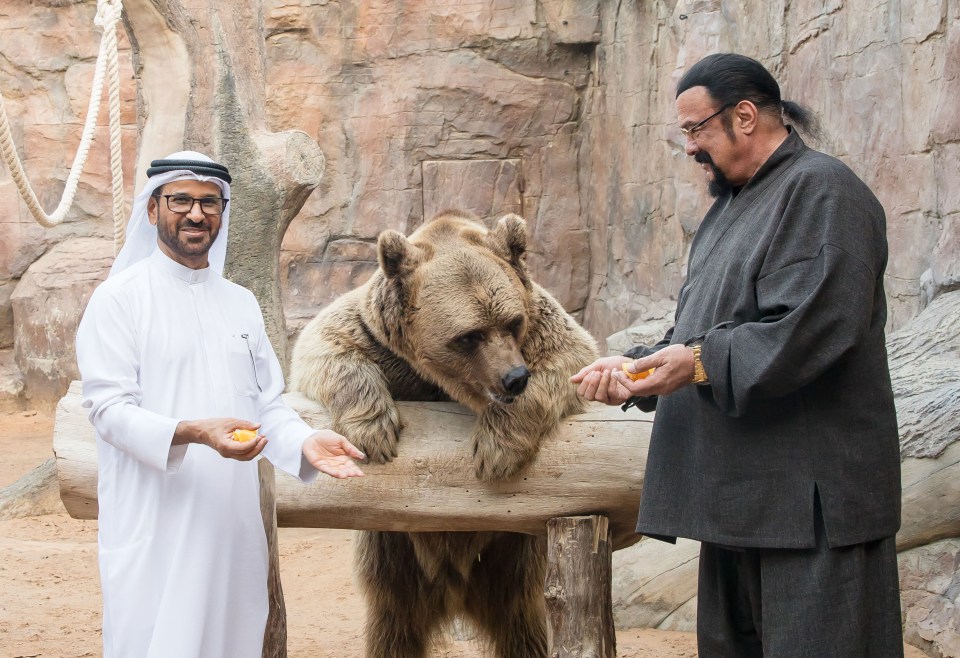 At one point Seagal fed a huge brown bear