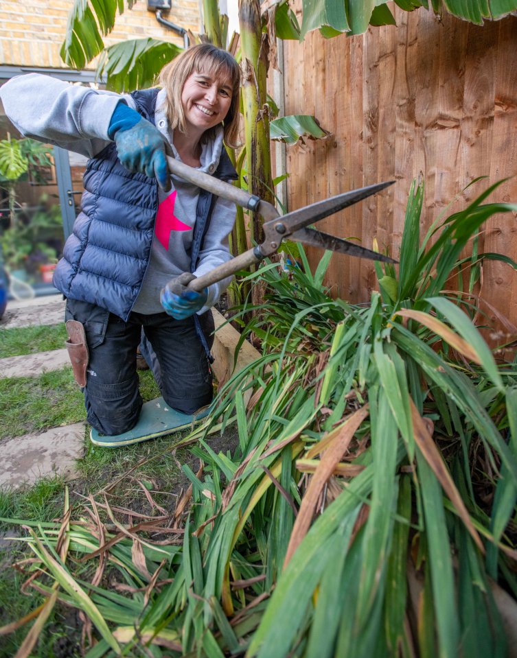 Gardening Editor Veronica cut back her crocosmia just before the frost hit