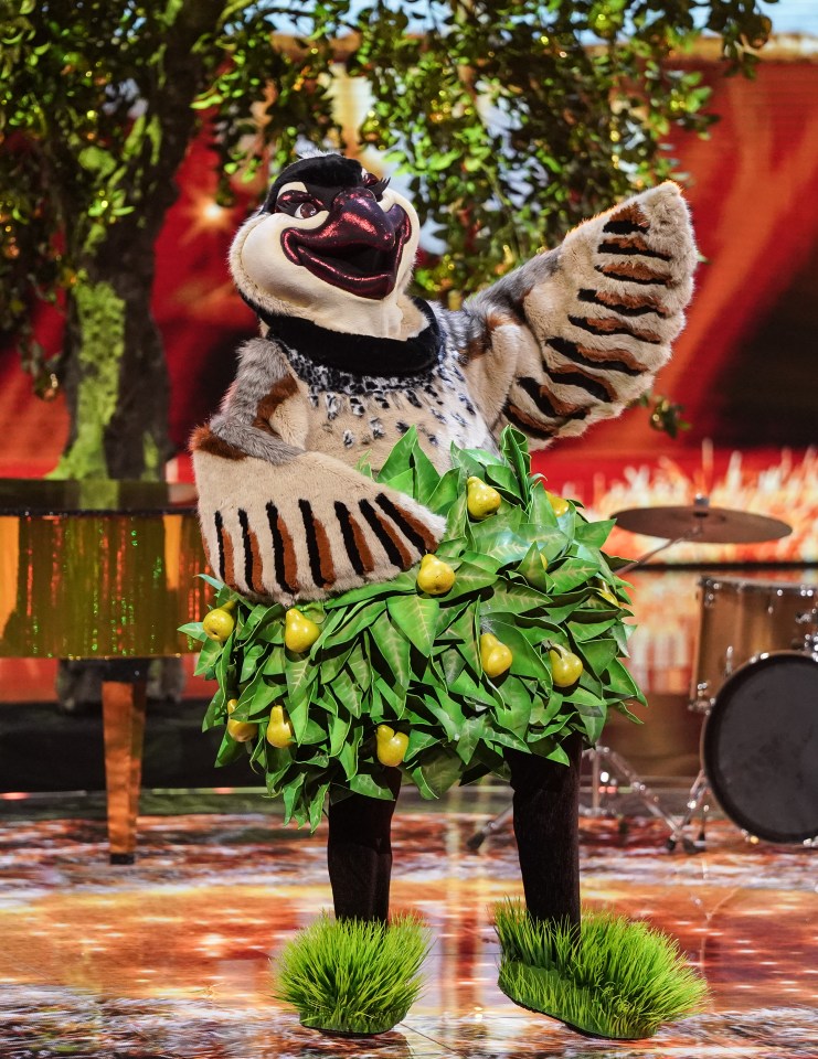 This image and the information contained herein is strictly embargoed until 20.00 Sunday 17th December 2023..From Bandicoot TV..The Masked Singer Christmas Special :on ITV1 and ITVX..Pictured: Patridge (In a Pear Tree)..This photograph is (C) Bandicoot TV and can only be reproduced for editorial purposes directly in connection with the programme or event mentioned above, or ITV plc. This photograph must not be manipulated [excluding basic cropping] in a manner which alters the visual appearance of the person photographed deemed detrimental or inappropriate by ITV plc Picture Desk. This photograph must not be syndicated to any other company, publication or website, or permanently archived, without the express written permission of ITV Picture Desk. Full Terms and conditions are available on the website www.itv.com/presscentre/itvpictures/terms..For further information please contact:.michael.taiwo1@itv.com