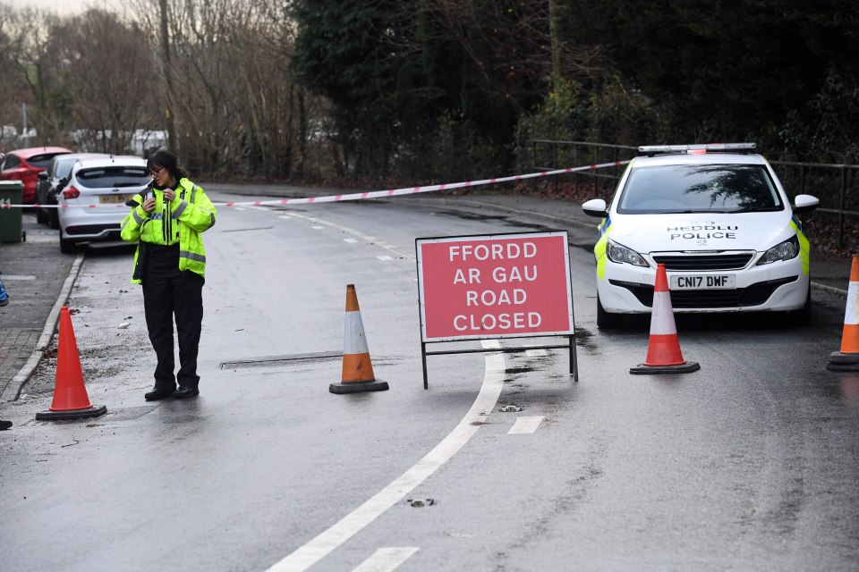 The scene of the crash in Coedely