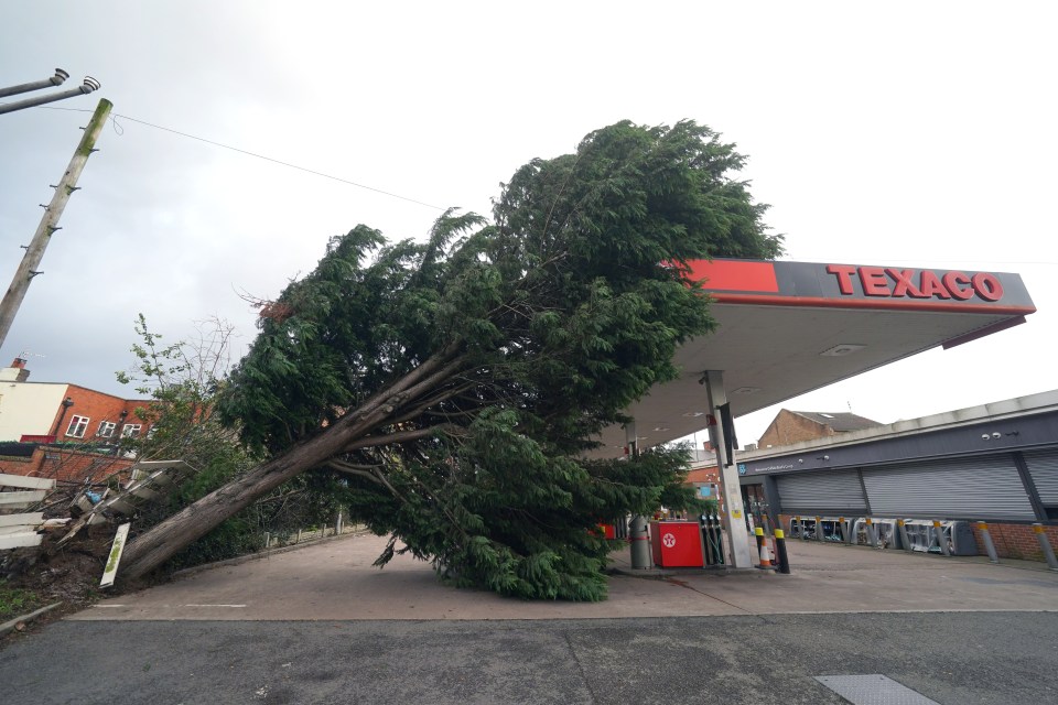 A tree fell on a petrol station in Derby