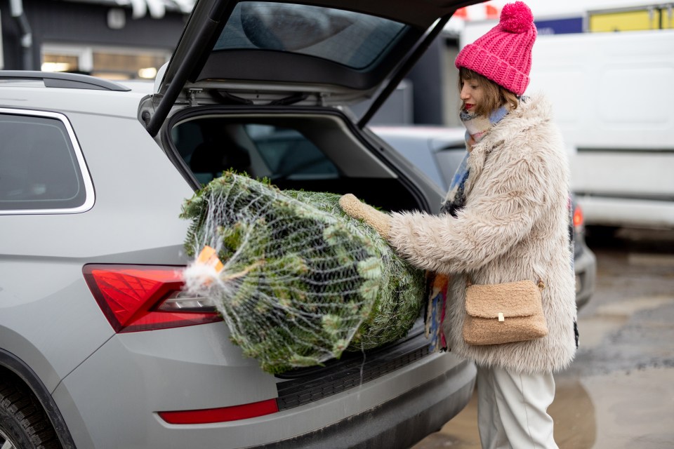 Transporting your Christmas tree back and forth may have left your car covered in sap and pine needles