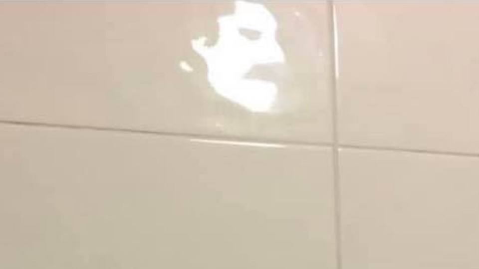 Freddie Mercury's face appeared on Louise Keirnan's bathroom tiles