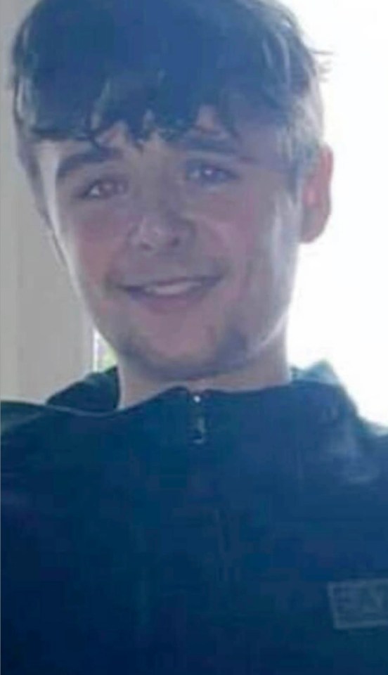 Tyler Donnelley, 19, was found at Hanworth Park in Feltham