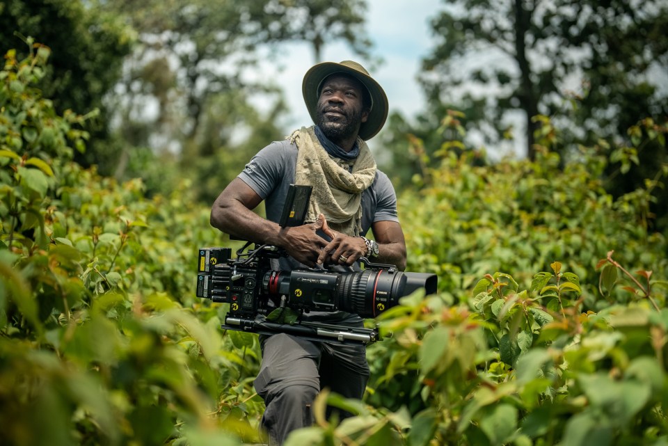 Vianet Djenguet has revealed the very close call he had filming endangered gorillas for his new BBC documentary