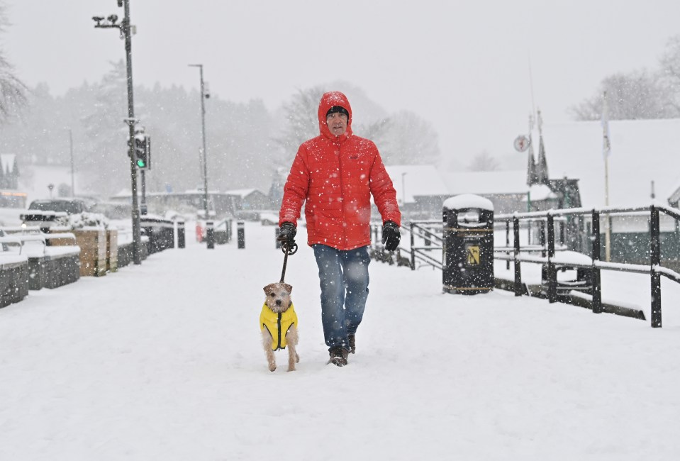 A cute pooch is wrapped up warm for walkies in Bowness on Windermere, in the Lake District