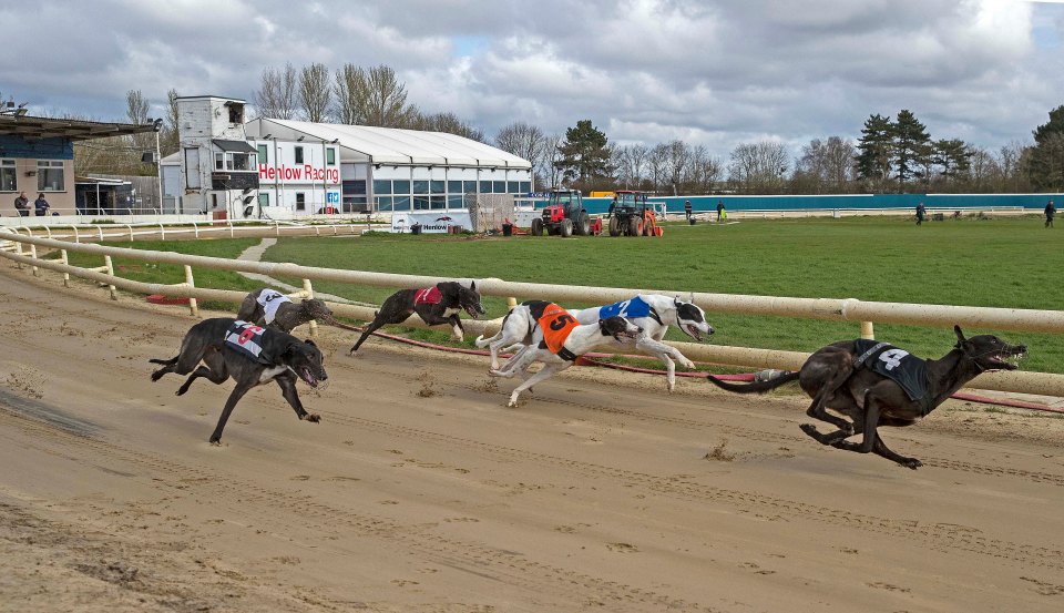 One of the UK's oldest greyhound race tracks has shut its doors after nearly 100 years