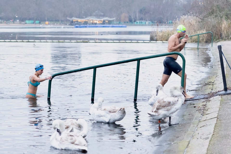 Swimmers are seen at the Serpentine lake in Hyde Park this morning