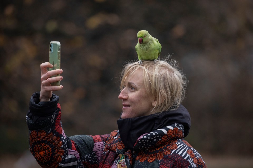 People love visiting the park to take pictures with the birds