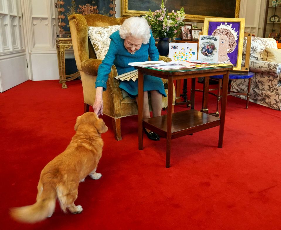 Queen Elizabeth II stroking Candy, her corgi dog, as she looks at a display of memorabilia from her Golden and Platinum Jubilees, in the Oak Room at Windsor Castle