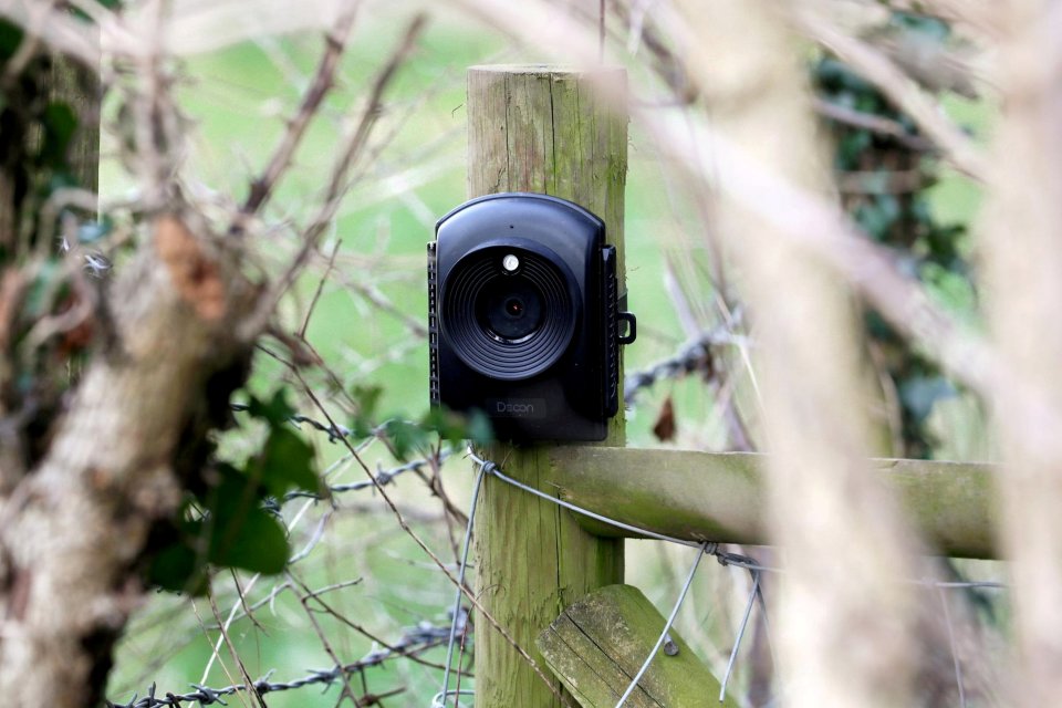 The spy cam is on land not even owned by the paedo neighbour