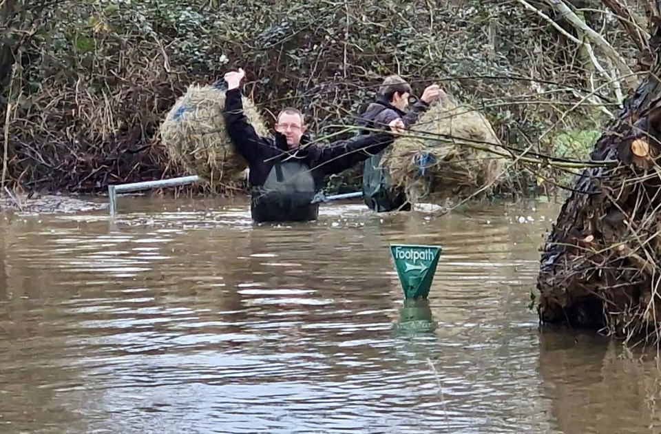 Farmers could be seen carrying hay bales above the water in Winnersh