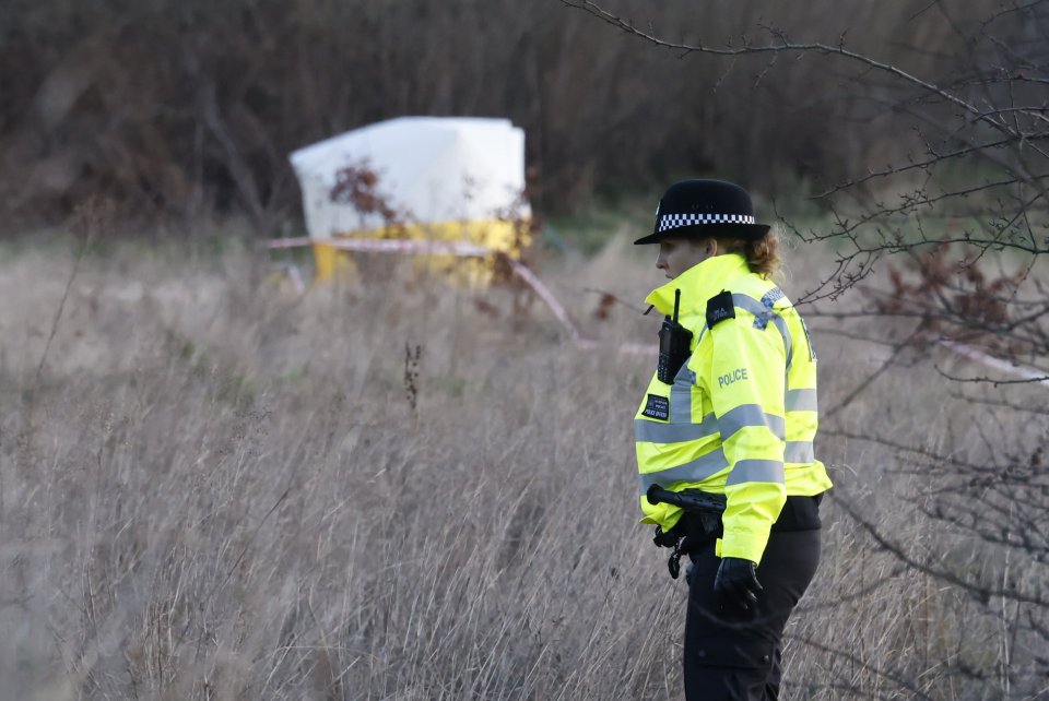 An extensive crime scene is in place at the park