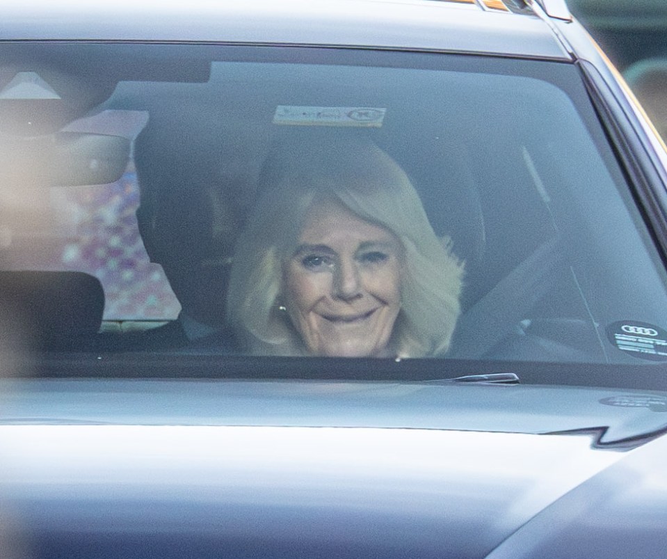 The Queen was sen smiling after visiting the monarch