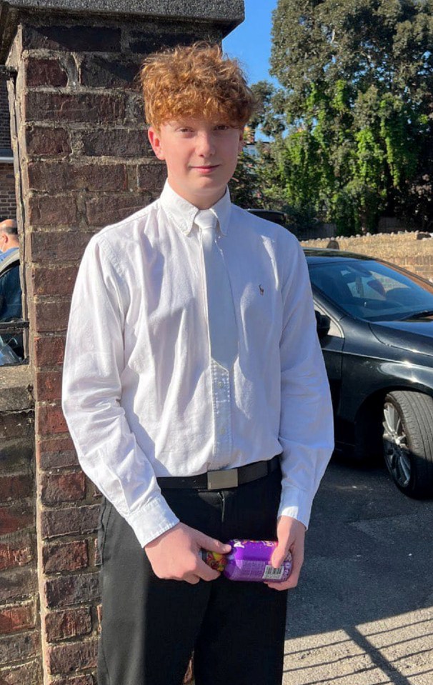 Harry Pitman, 16, was stabbed in Primrose Hill, Camden, north London, after going to watch New Year fireworks with a group of friends