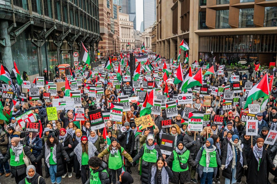 Some 200,000 pro-Palestine demonstrators marched through London yesterday