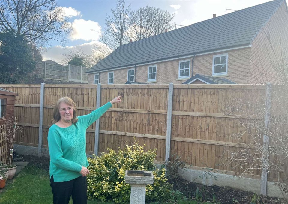 Ann Smith is fed-up with neighbours being able to peer into her garden