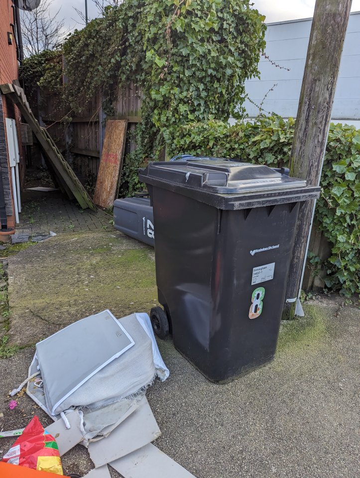 The bin where the abandoned bull breed dog was found