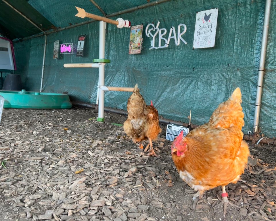 The hens can get down and dirty in the Cock-tail Bar