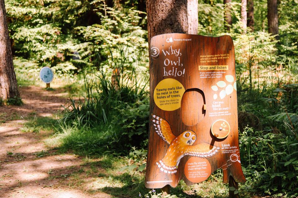 Until then, there are lots of Gruffalo attractions in the UK