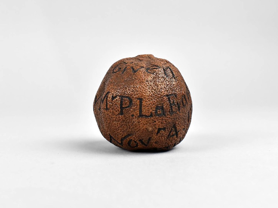 A 285-year-old lemon has gone for over £1000 at an auction