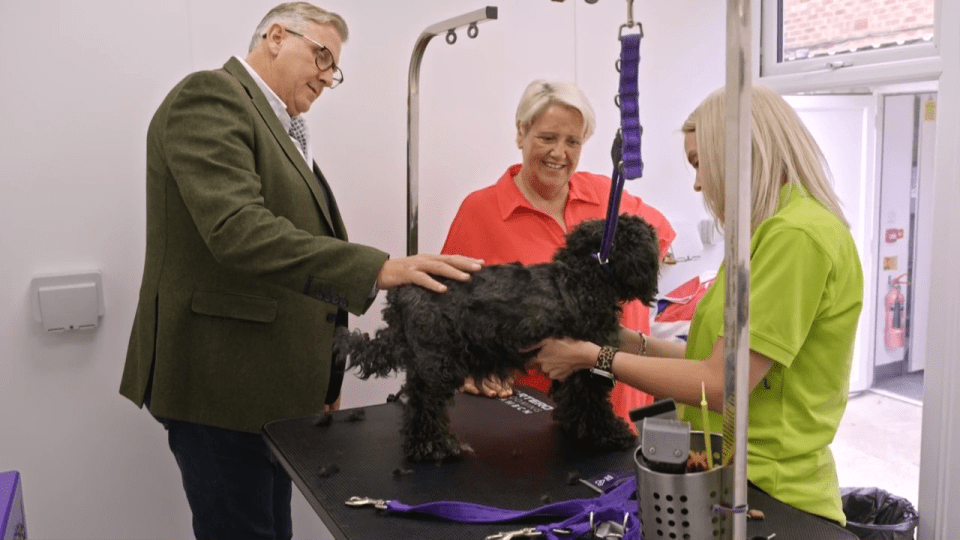 Graeme worked with Winnie a dog who was terrified of the groomers