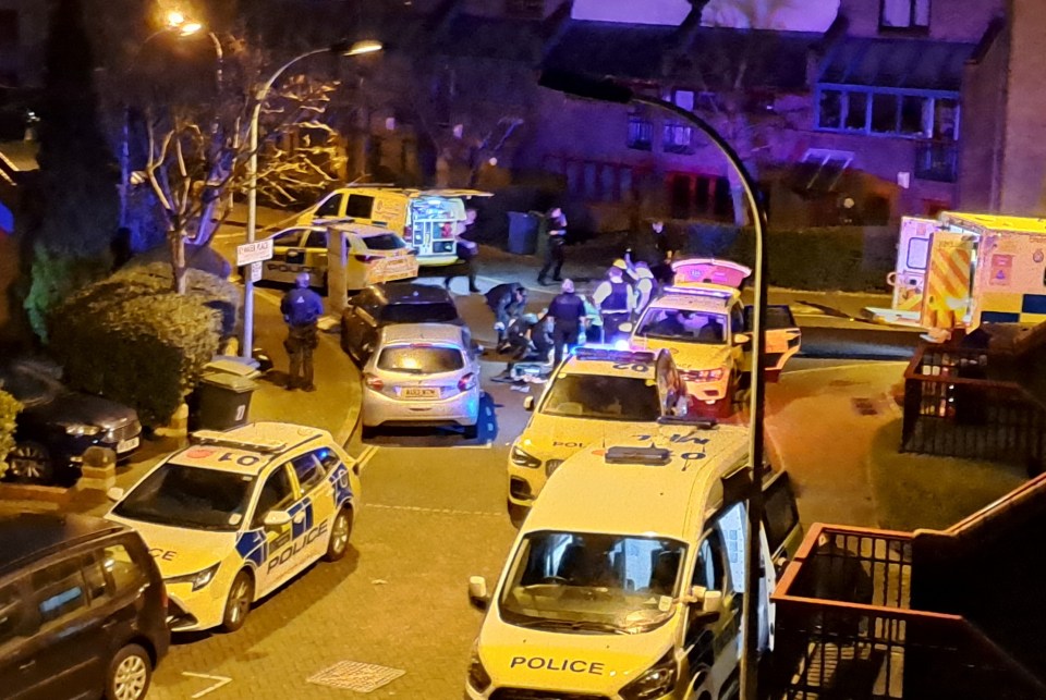 Armed police swarmed a quiet London street yesterday morning after a crossbow-wielding man tried to get into a home