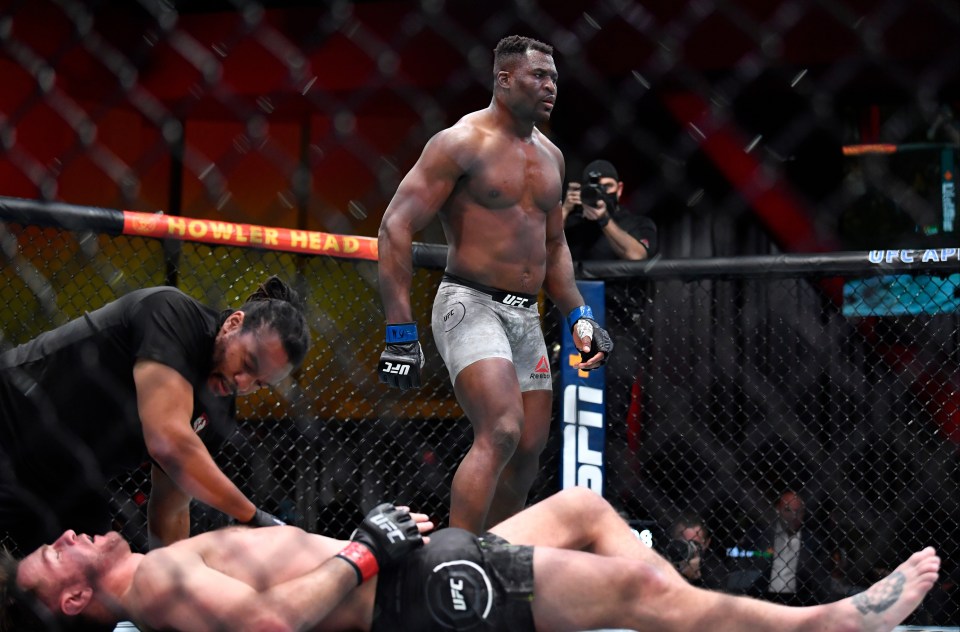 Francis Ngannou has 12 brutal knockout wins on his resume