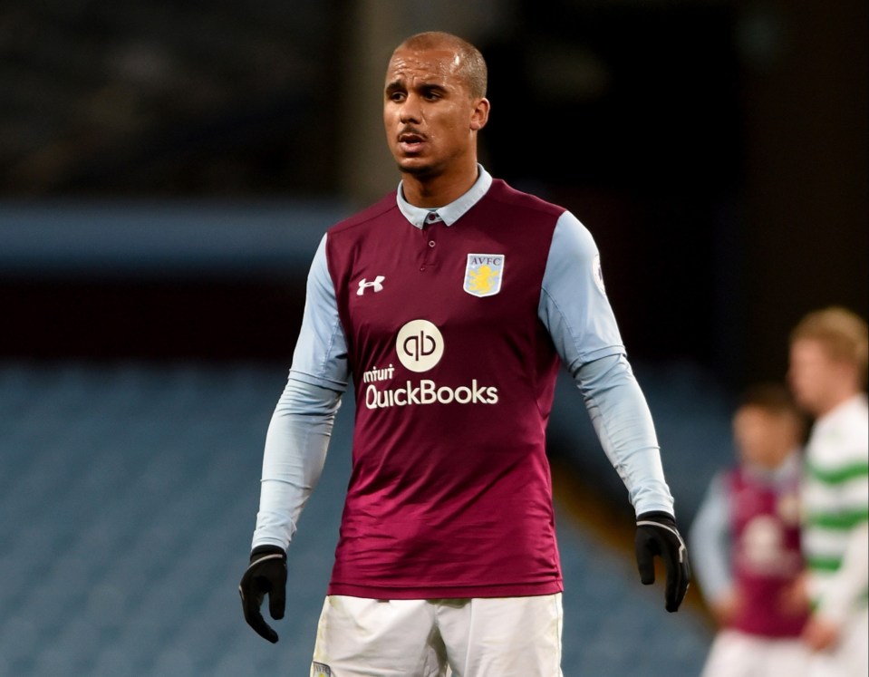 Gabby Agbonlahor was banished during his time at Aston Villa