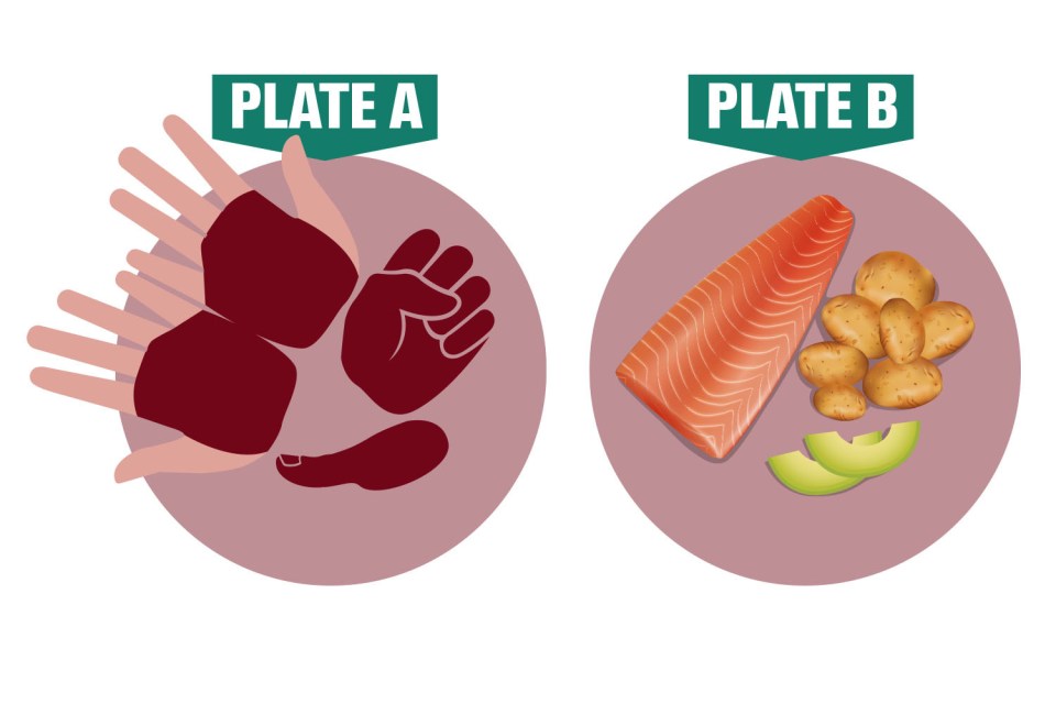 Stick to a balanced diet - and plate A can help you measure your portions correctly on plate B