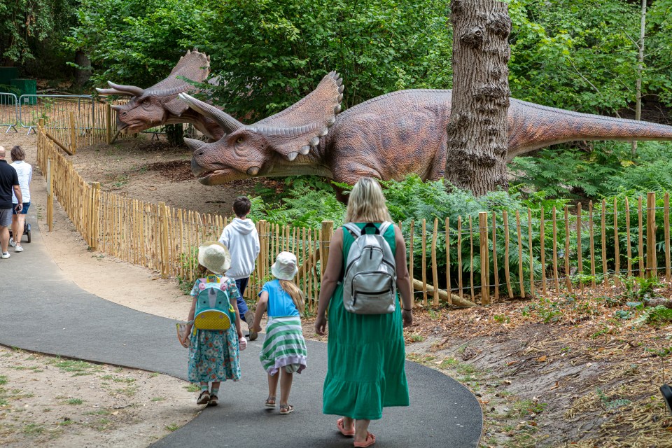 The new attraction will be located inside ROARR! Dinosaur Adventure in Norfolk