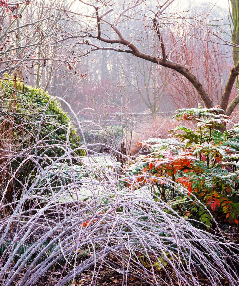 Barnsdale gardens - created by the late Geoff Hamilton - is bursting with colour