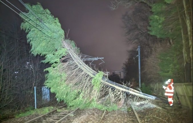 This tree brought trains to a standstill in Scotland